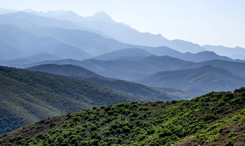 Panorama mediterranean maquis