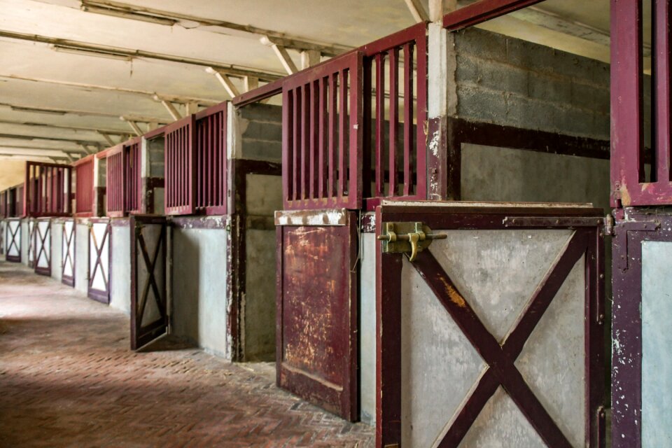 Horseback riding interior vacuum
