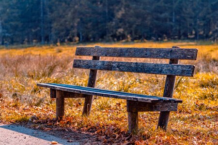 Meadow sit bench