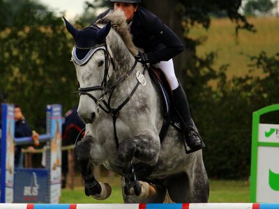Mold show jumping obstacle