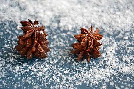 Snow aroma star anise photo