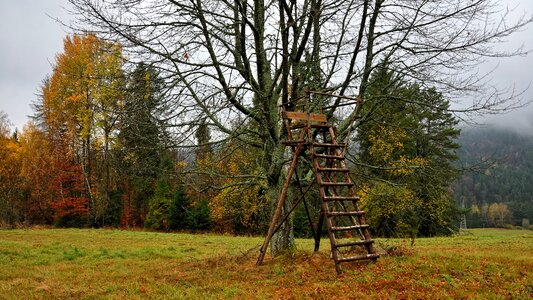 Tron monitoring autumn