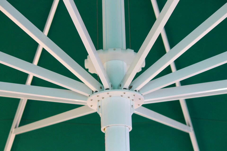 Parasol green shade tree