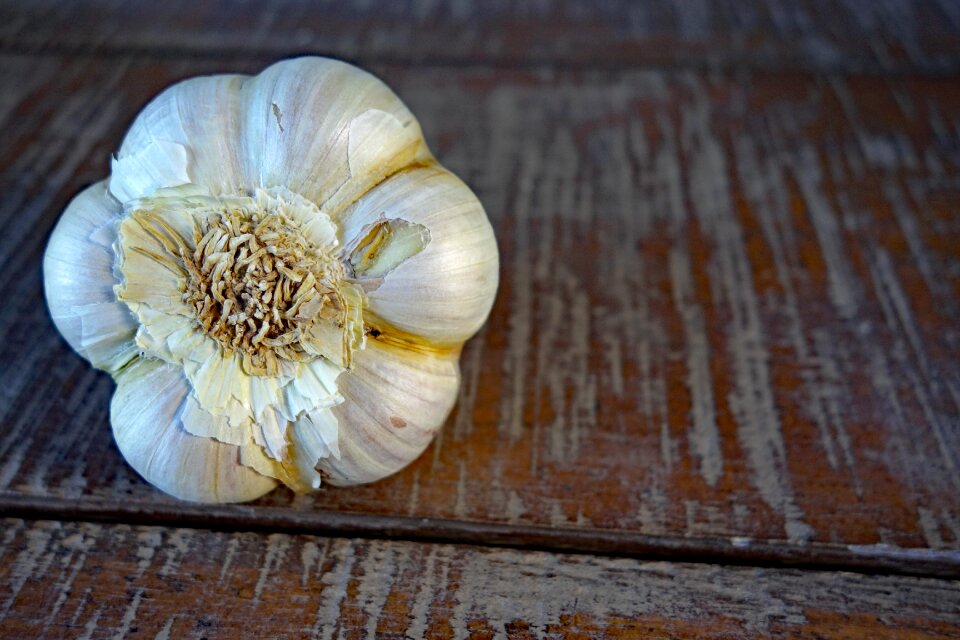 Garlic vegetables Free photos