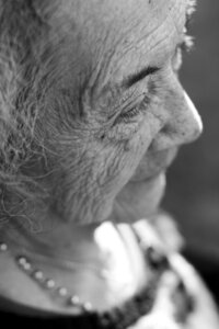 Older adult grandparents older people