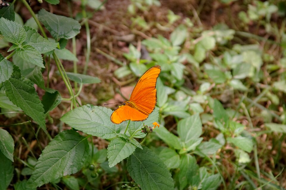 York maine wildlife