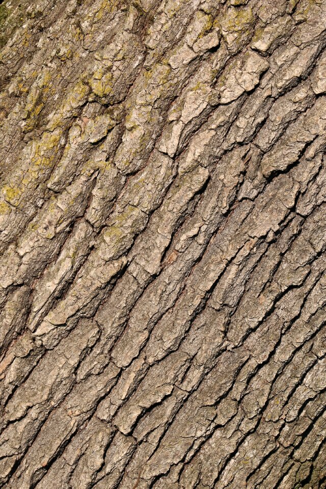 Pattern structure brown