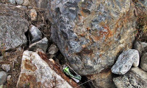 The alps contaminate ecology