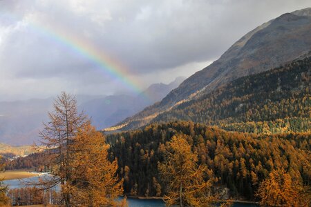 See in the mountains the alps