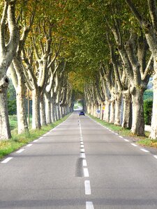 Landscape avenue france