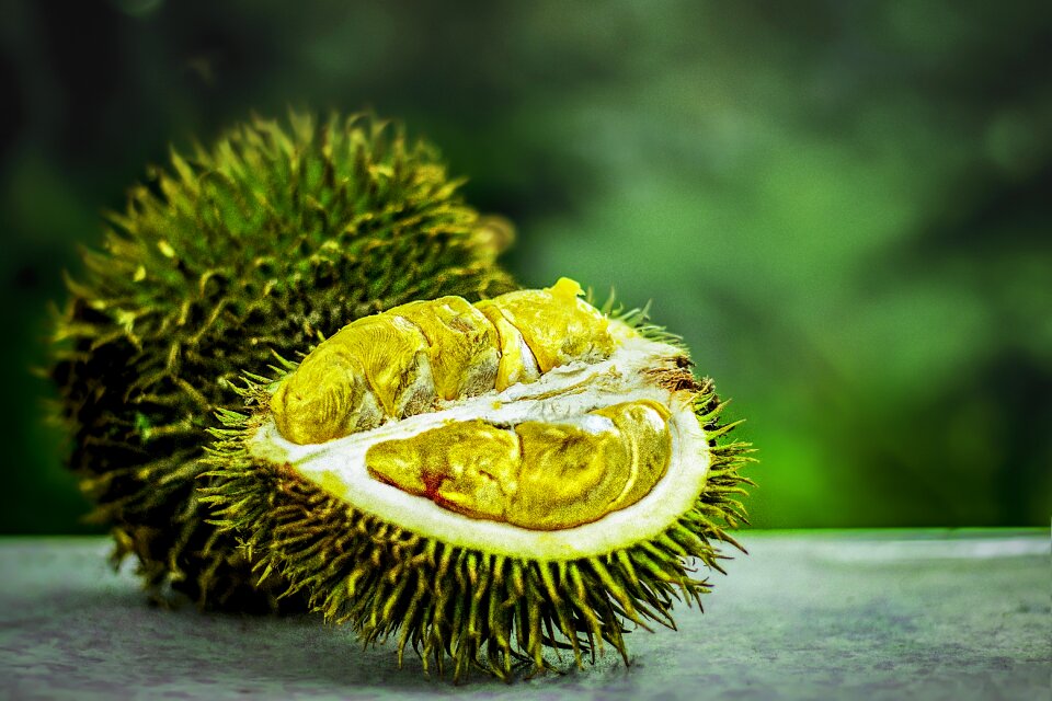 Exotic malaysia agriculture