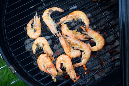 Seafood delicious fish