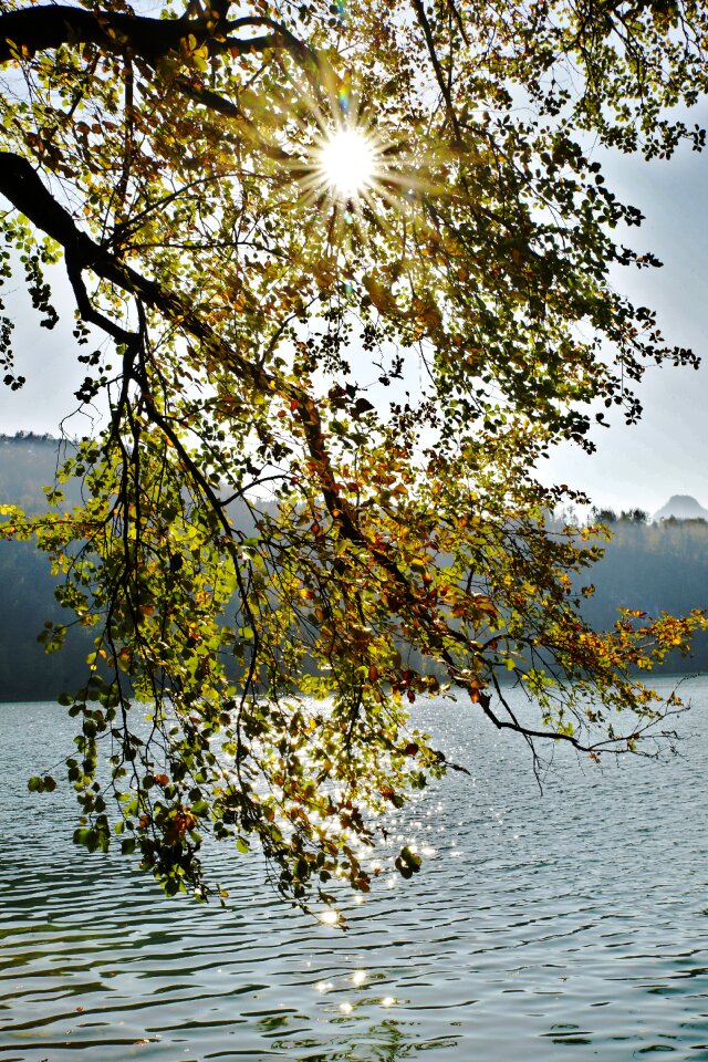 Autumn sun rest