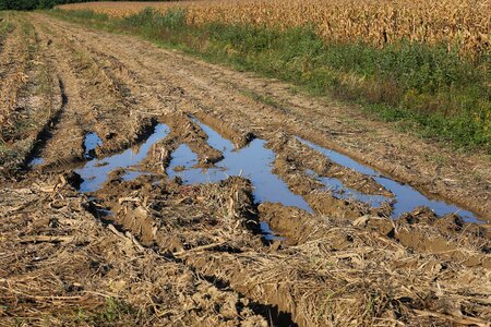 Rural agriculture nature