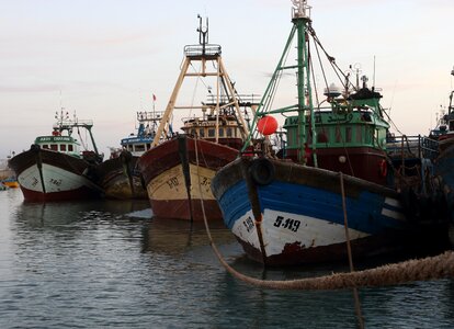 Fishing boat seagull photo