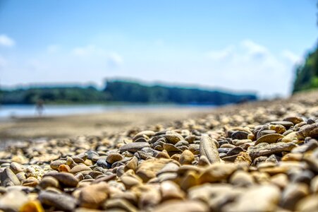 Rhine river low tide