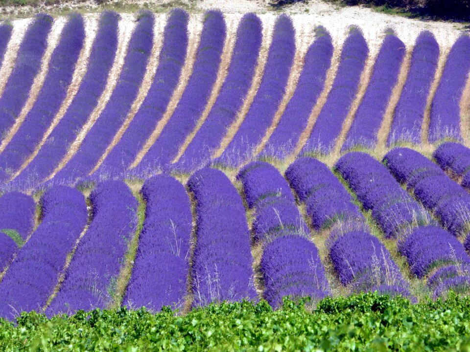Drôme provence nature