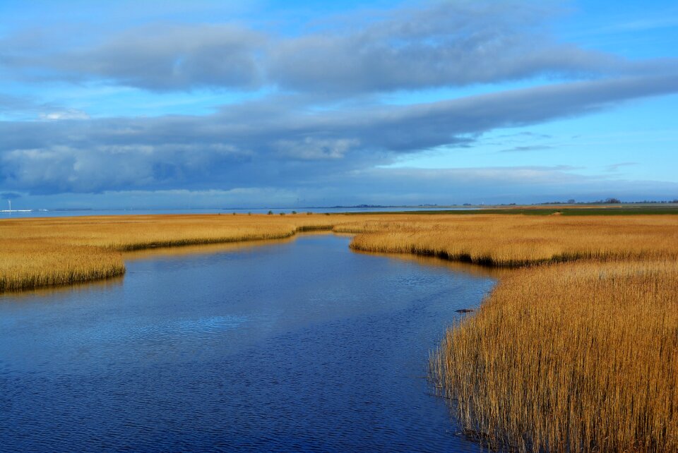 Holland nature water