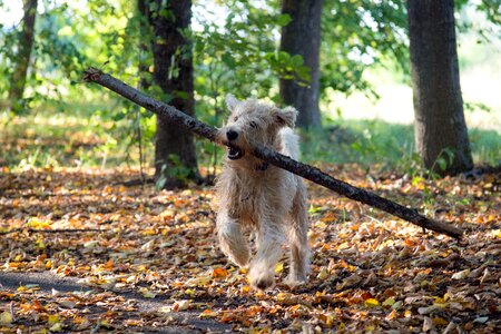 Stick cute funny