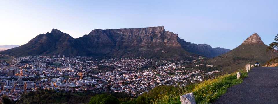 Lion's head city building photo