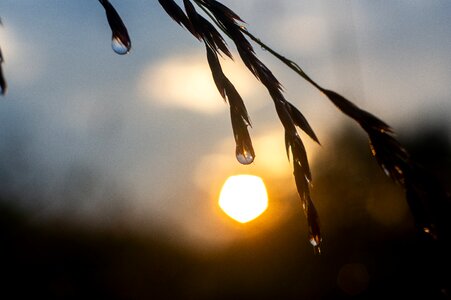 Liquid raindrop rain