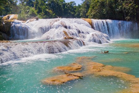 Jungle river tourism