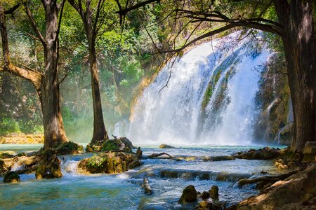 Jungle river tourism