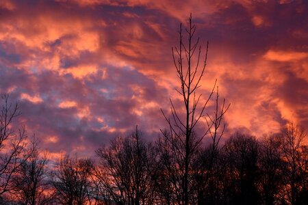 Evening dusk nature photo