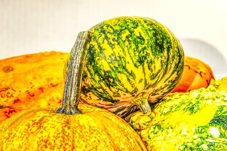 Autumn autumn decoration pumpkins