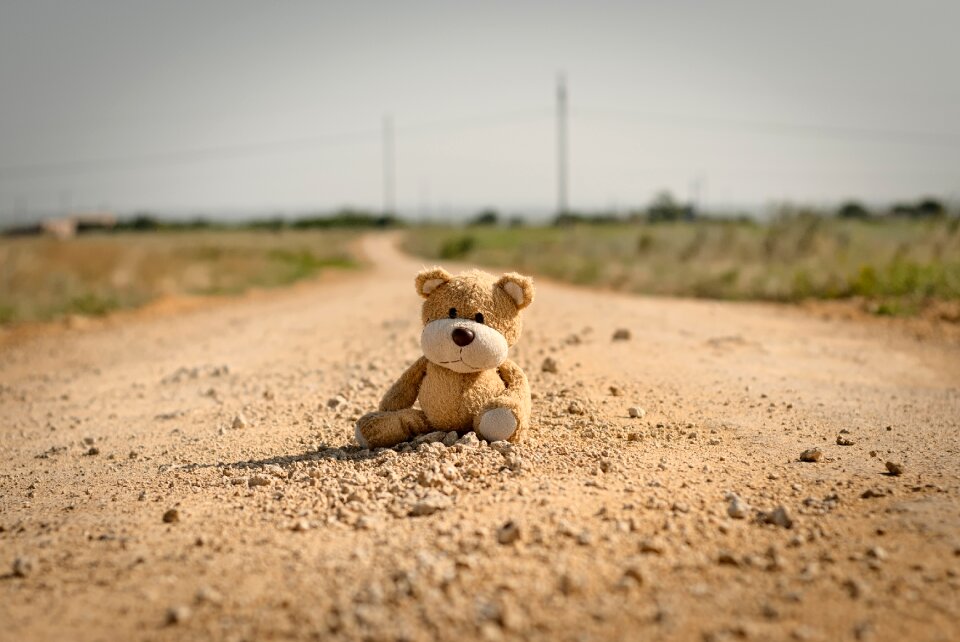 Teddy bear road brown road