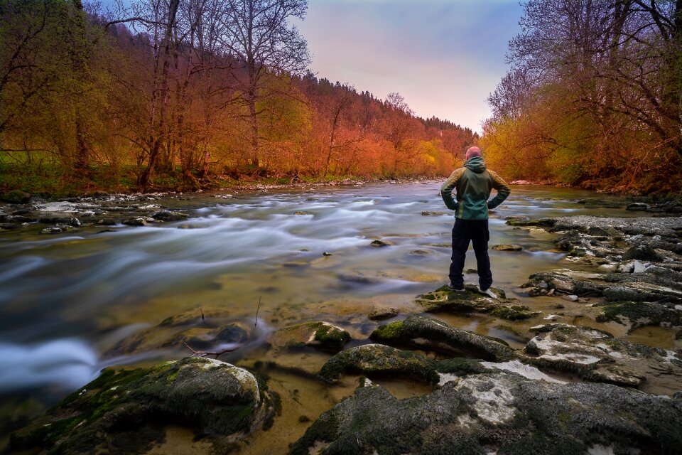 Tree river landscape