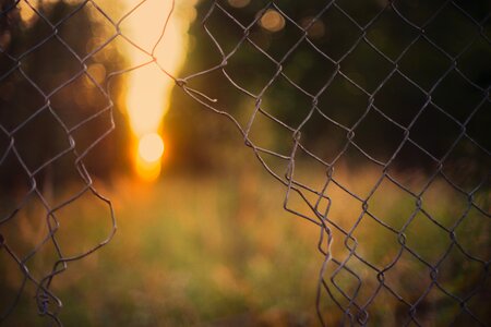 Grid cage prison photo