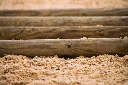 Sand ground horses