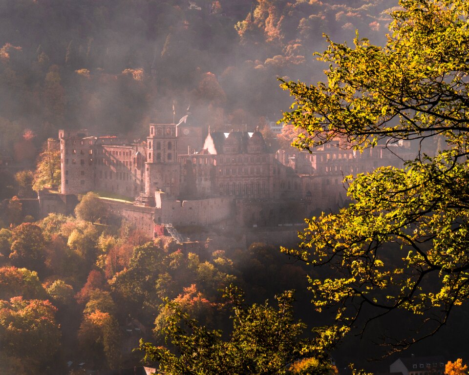 Bright heidelberger schloss backlighting