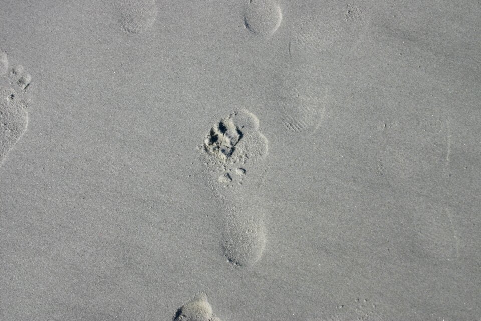 Beach summer outdoors