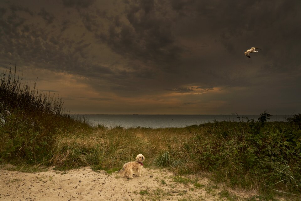 Clouds north sea landscape