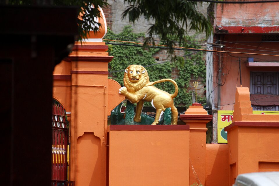 Lion structure historic