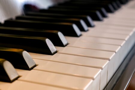 Instrument musical instrument play piano photo