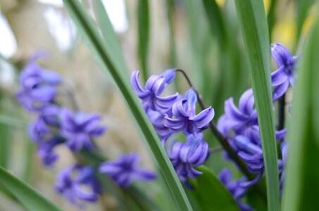 Beauty wonderful bokeh