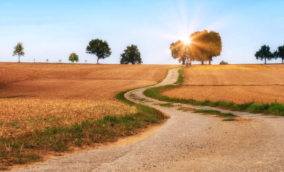 Landscape rural agriculture