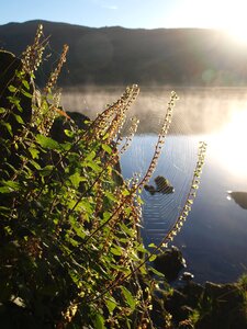 Cobweb morning conniston water