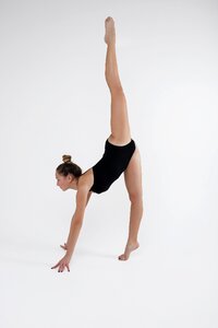 Beautiful gymnast flexible photo