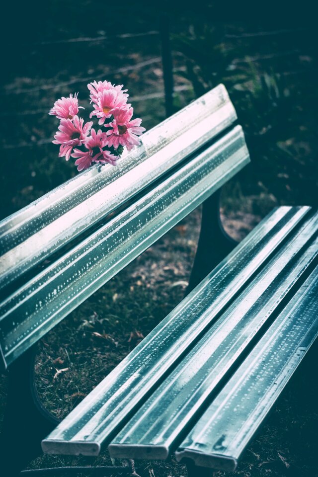 Rest mourning grieve