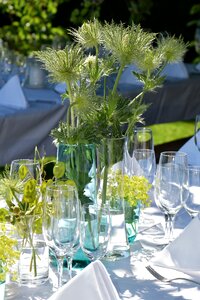 Sommerfest eat enjoy