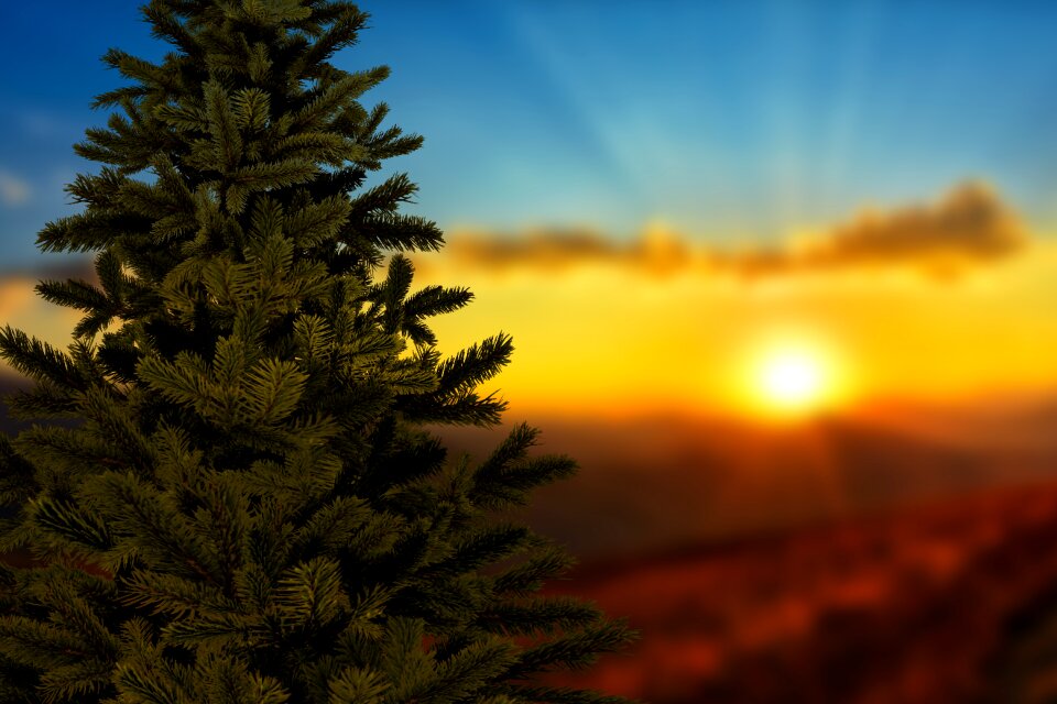 Winter landscape sky