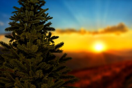 Winter landscape sky
