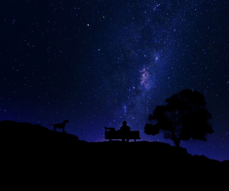 Dog star starry sky photo