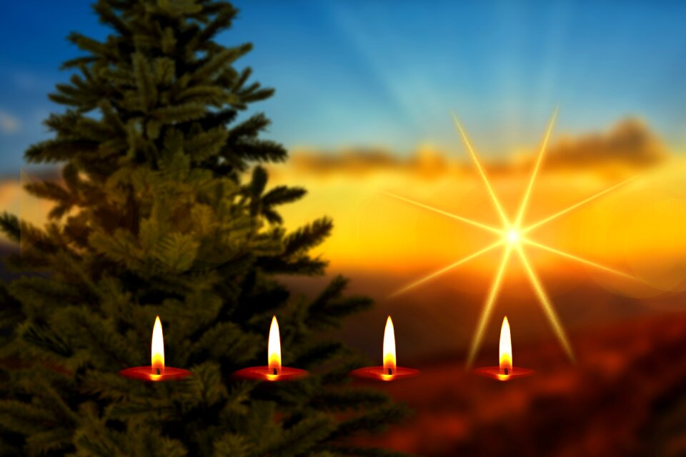 Sunset christmas tree winter