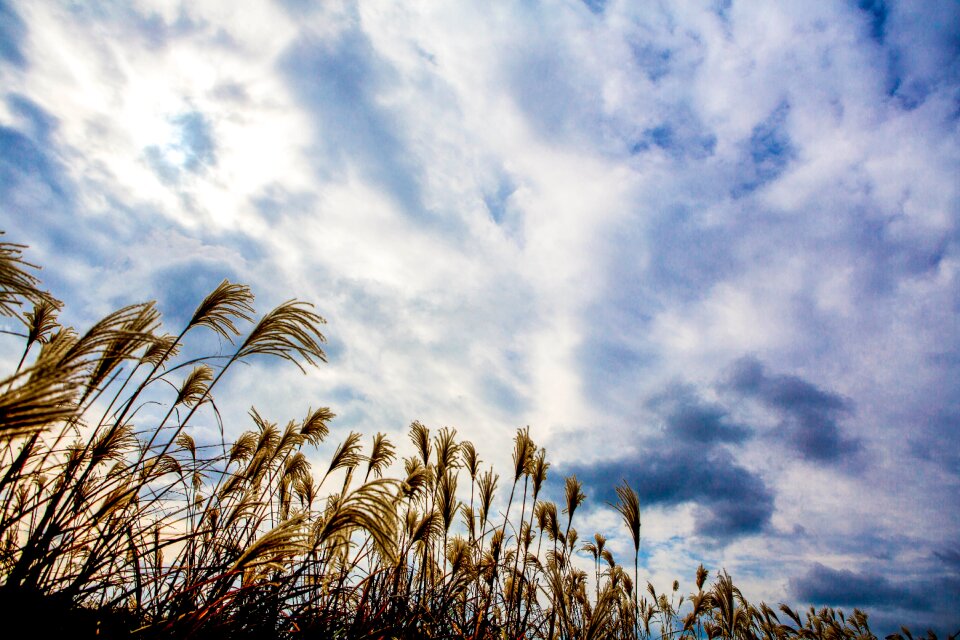 Nature landscape scenery