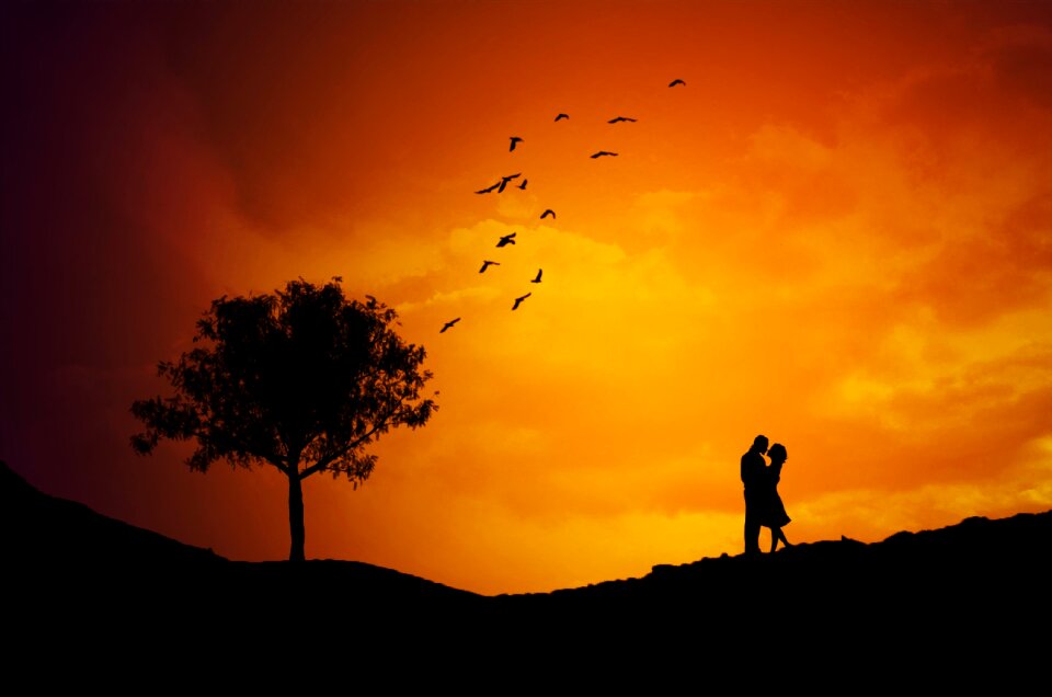 Landscape tree birds